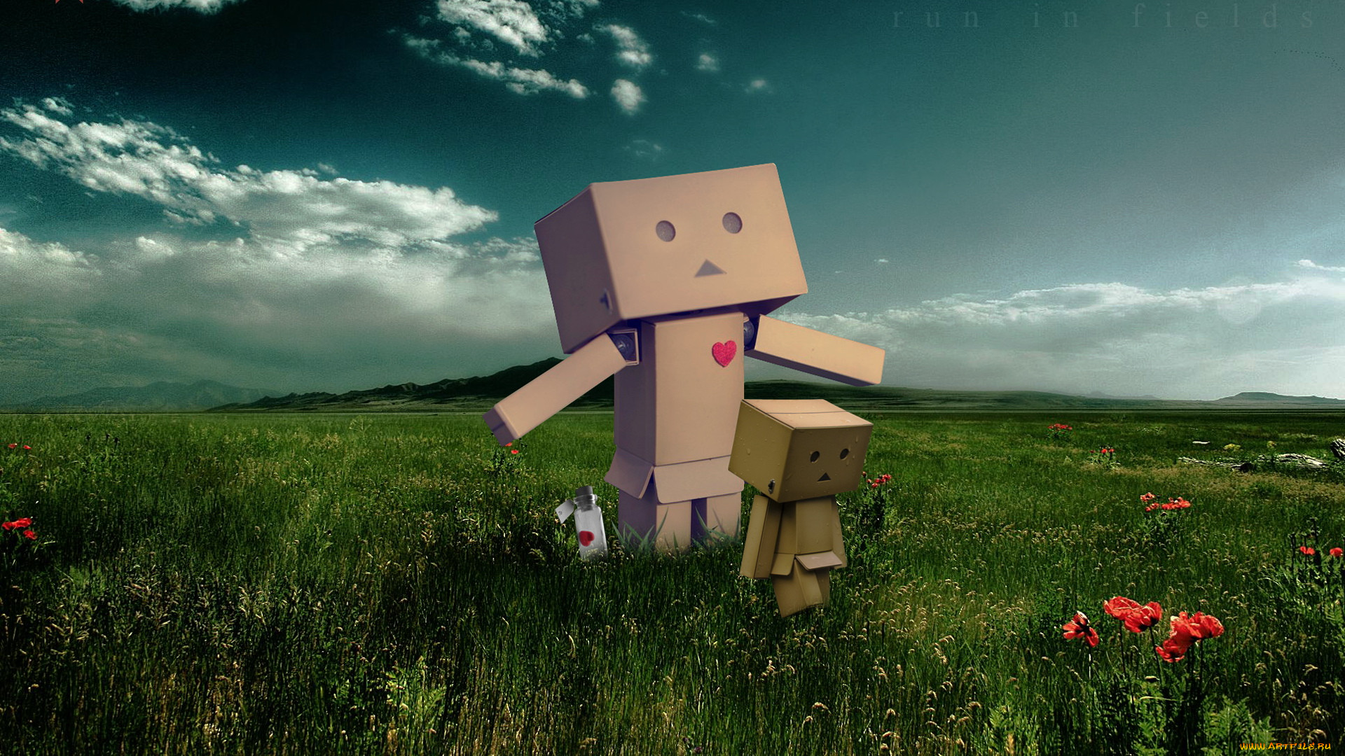 , , danboard, 